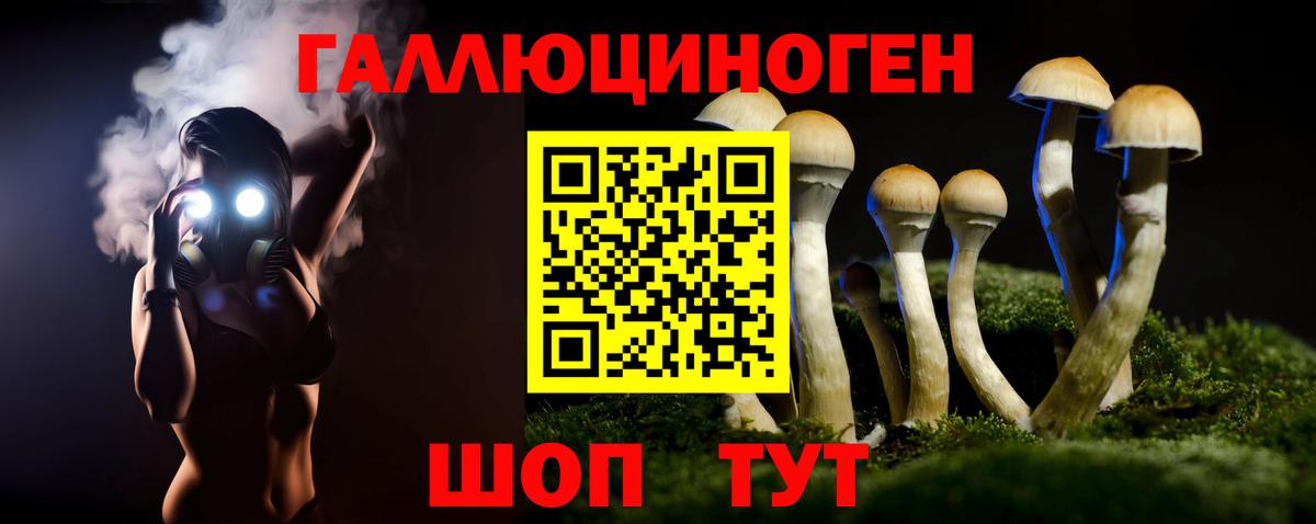 Галлюциногенные грибы GOLDEN TEACHER  Вход с VPN  Дзержинск 
